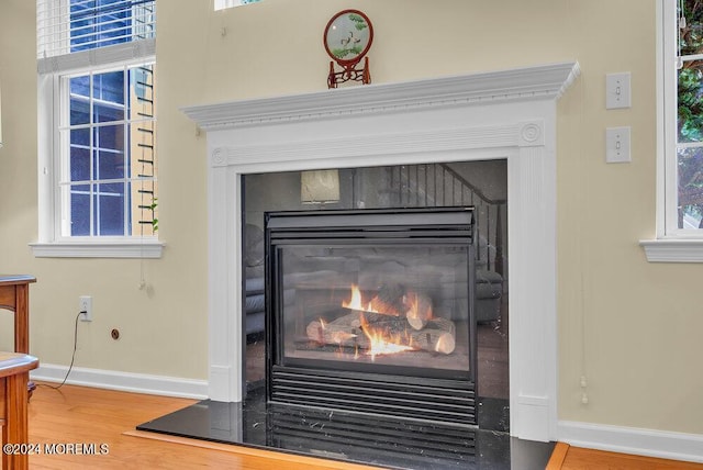 room details with hardwood / wood-style floors