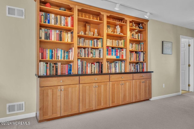 room details featuring carpet floors and rail lighting