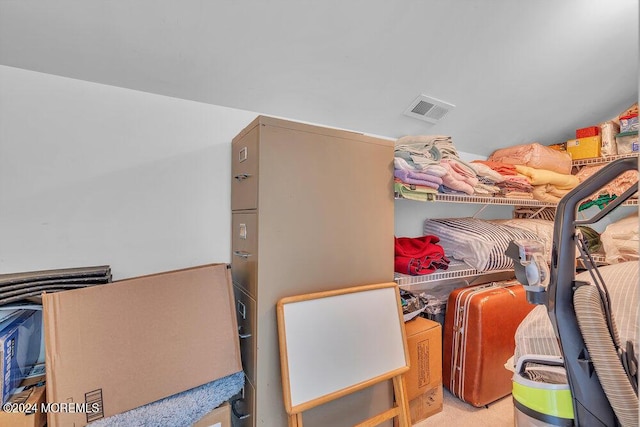 spacious closet featuring light colored carpet