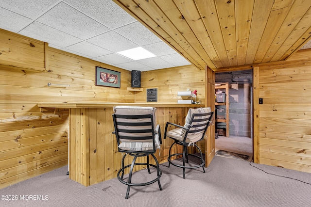 790 Farmingdale Rd, Jackson, NJ 08527 - indoor dry bar with carpet floors and wood walls