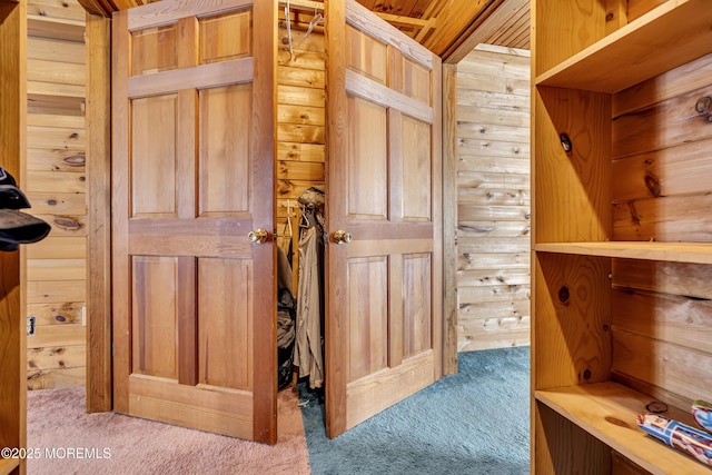 790 Farmingdale Rd, Jackson, NJ 08527 - spacious closet with carpet