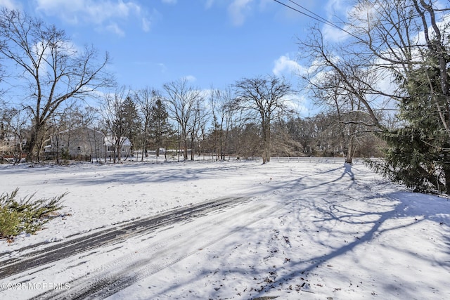 790 Farmingdale Rd, Jackson, NJ 08527 - view of yard layered in snow