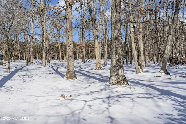790 Farmingdale Rd, Jackson, NJ 08527 - view of yard layered in snow