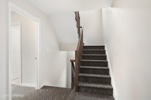 stairs with carpet flooring