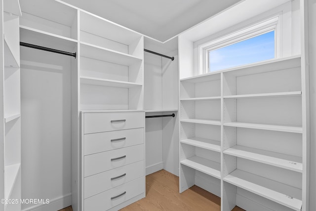 spacious closet featuring light wood-type flooring