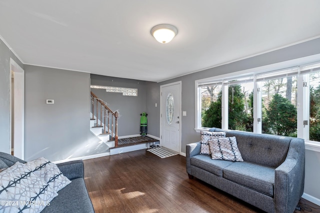 living room with dark wood-type flooring