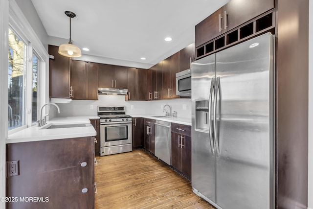 kitchen featuring sink, hanging light fixtures, light wood-type flooring, appliances with stainless steel finishes, and dark brown cabinetry