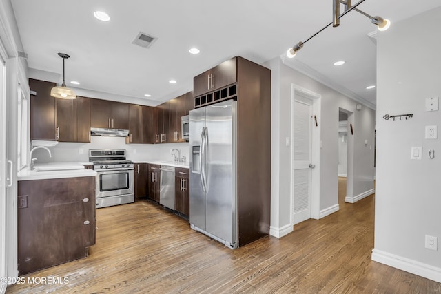 kitchen with sink, hanging light fixtures, light wood-type flooring, dark brown cabinetry, and stainless steel appliances