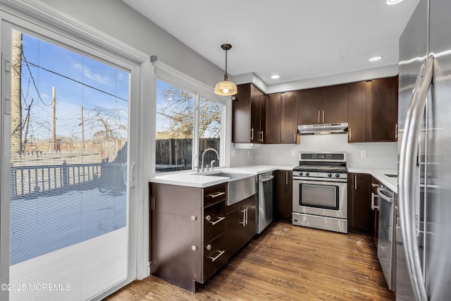 kitchen with dark brown cabinetry, stainless steel appliances, sink, decorative light fixtures, and hardwood / wood-style floors