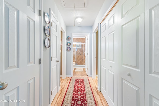 hall featuring light wood-type flooring