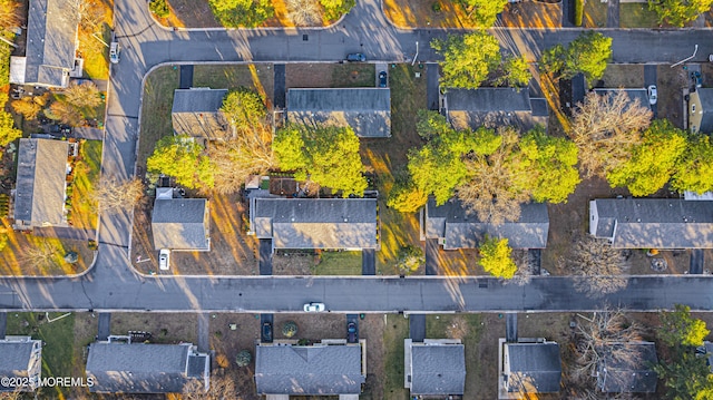 bird's eye view