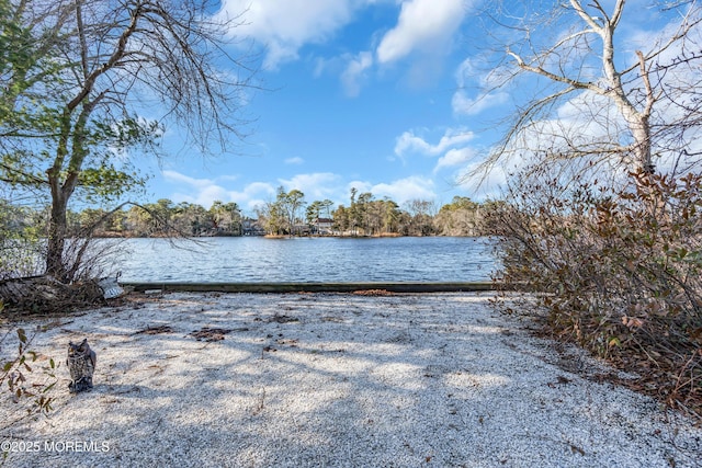 property view of water