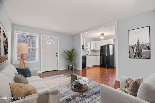 living room with dark hardwood / wood-style flooring, plenty of natural light, and sink