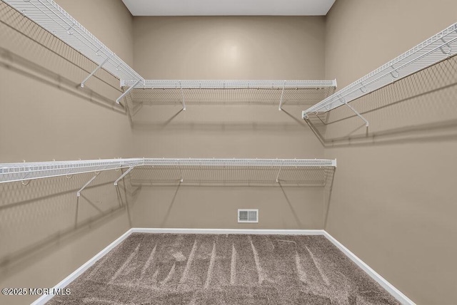 walk in closet with carpet