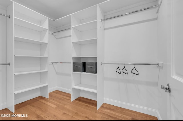 spacious closet featuring wood-type flooring