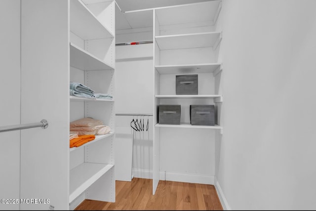 spacious closet featuring light hardwood / wood-style floors