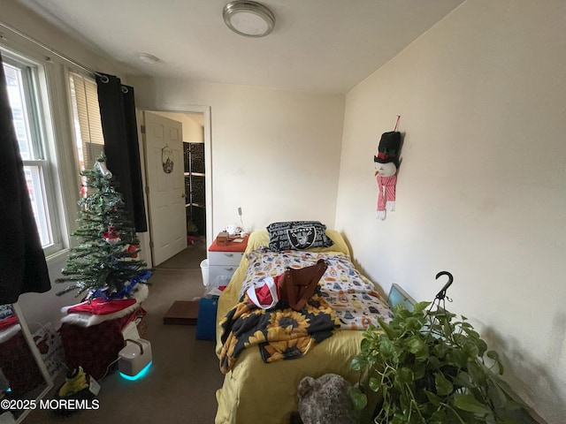 bedroom with carpet flooring