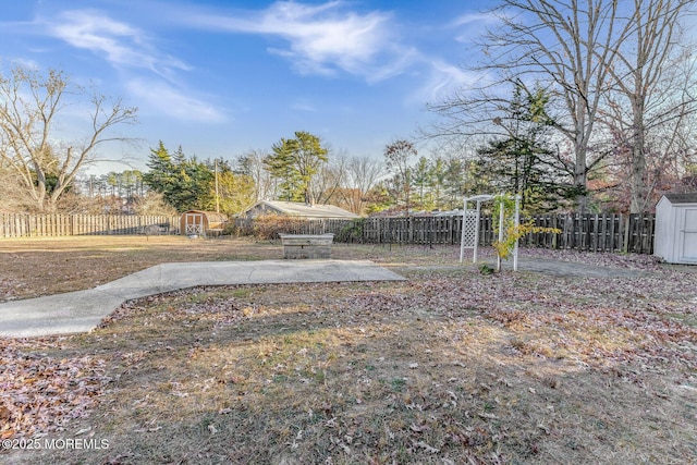 view of yard featuring a patio area and a storage shed