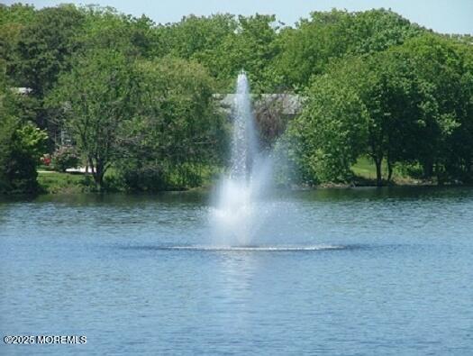 view of water feature