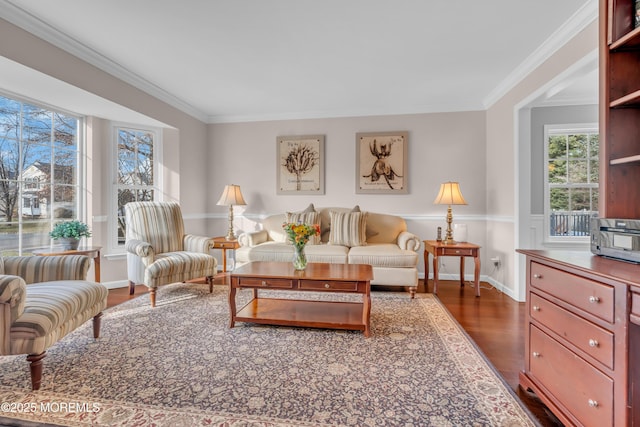 living room with ornamental molding and dark wood-type flooring