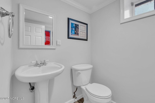 bathroom with sink, crown molding, and toilet