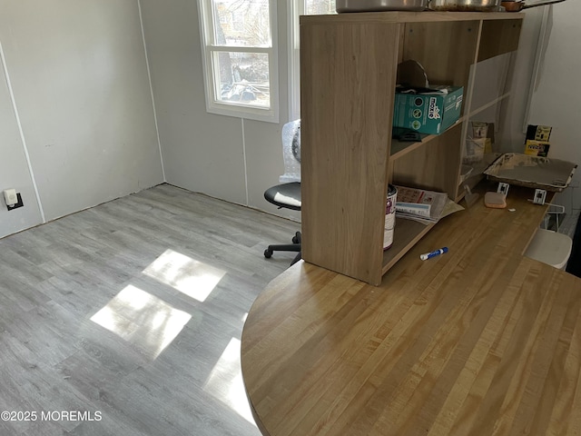 home office featuring wood finished floors