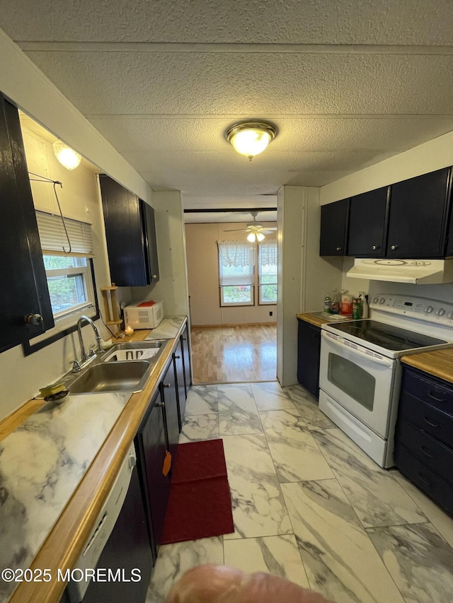 12 Pigeon Ct, Whiting, NJ 08759 - kitchen with a sink, marble finish floor, dark cabinets, under cabinet range hood, and white appliances