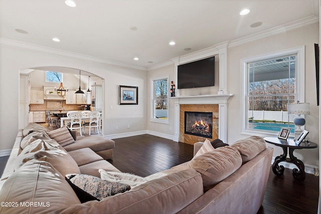 living room featuring a high end fireplace, dark hardwood / wood-style floors, and ornamental molding