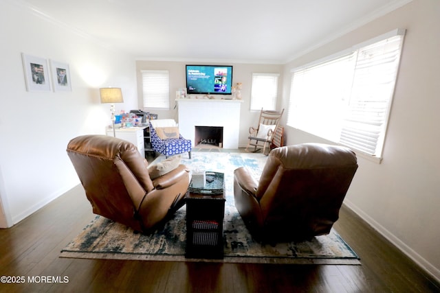 living area featuring hardwood / wood-style flooring, a fireplace, baseboards, and ornamental molding