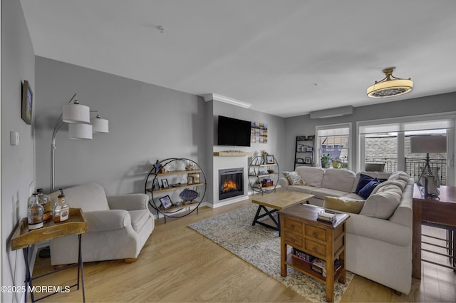 living room featuring light hardwood / wood-style flooring