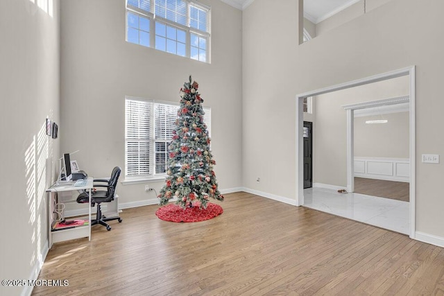 office featuring plenty of natural light, ornamental molding, and a high ceiling