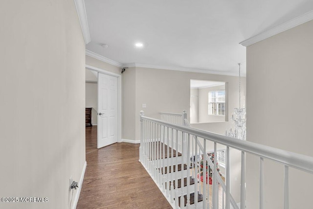 corridor with an inviting chandelier, ornamental molding, and dark hardwood / wood-style floors