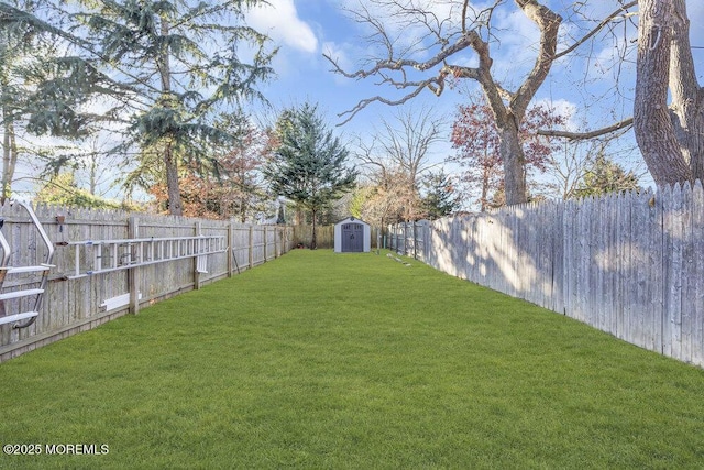 view of yard featuring a shed