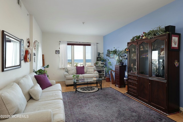 living room featuring a water view and wood-type flooring