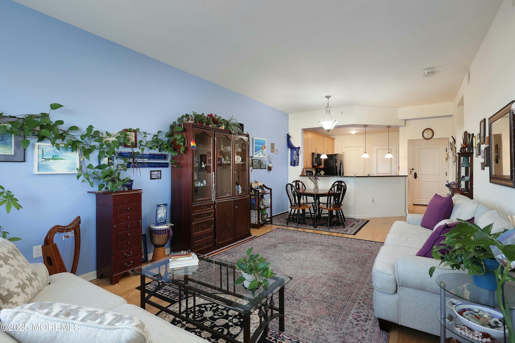 living room featuring light hardwood / wood-style flooring