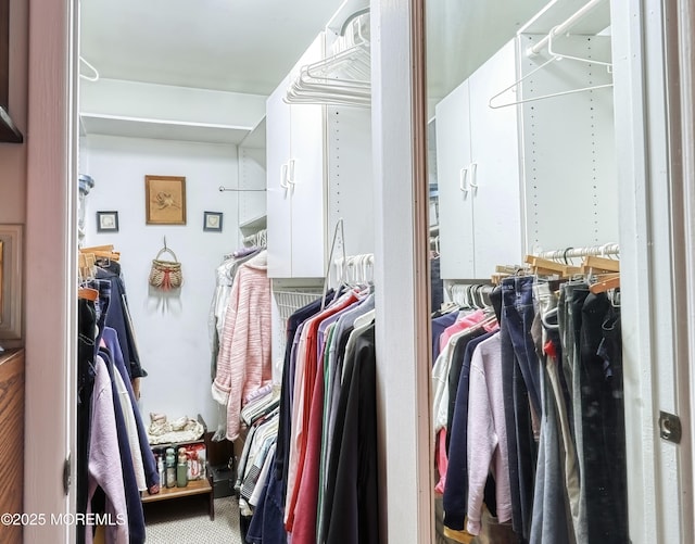 view of walk in closet