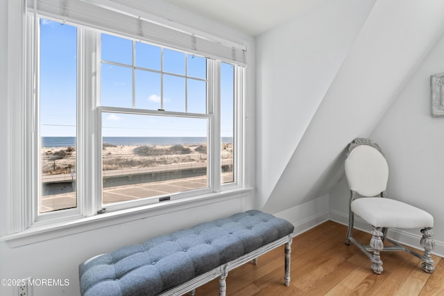 sitting room featuring hardwood / wood-style flooring