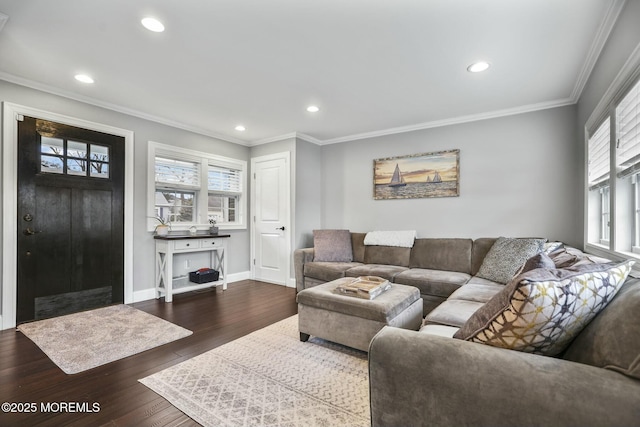 living room featuring wood-type flooring and crown molding