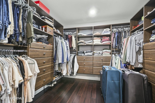 walk in closet featuring dark hardwood / wood-style floors