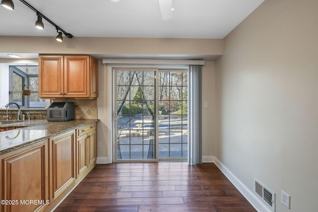 entryway featuring sink and dark wood-type flooring