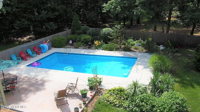 view of pool with a patio area