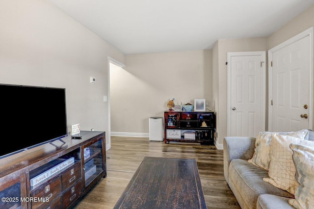 living room with wood-type flooring