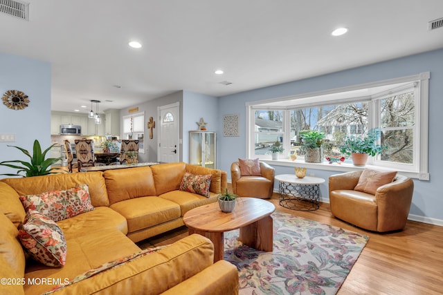 living room featuring light hardwood / wood-style floors