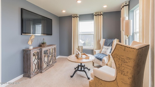 living area with carpet floors