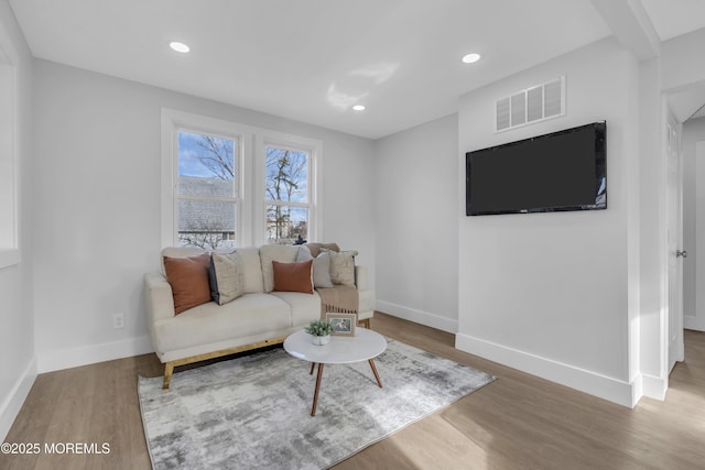 living room featuring wood-type flooring