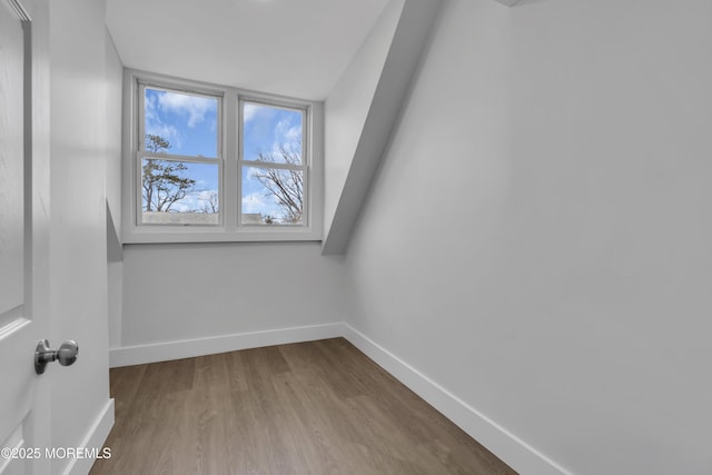 additional living space featuring light hardwood / wood-style flooring