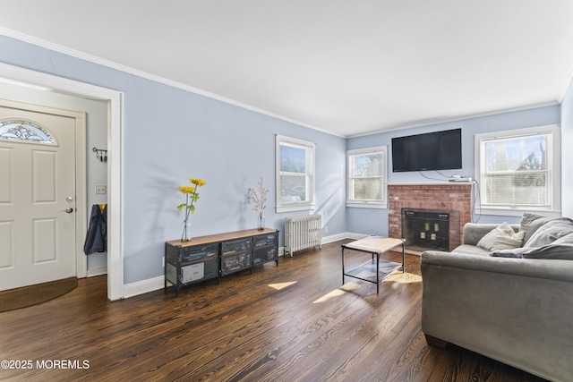 living room featuring radiator, dark hardwood / wood-style flooring, a brick fireplace, and a wealth of natural light