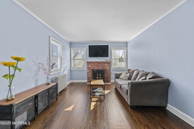 living room featuring crown molding, a fireplace, radiator, and dark hardwood / wood-style flooring