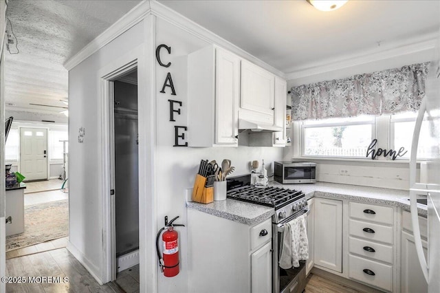 kitchen with white cabinets, crown molding, ceiling fan, appliances with stainless steel finishes, and custom range hood