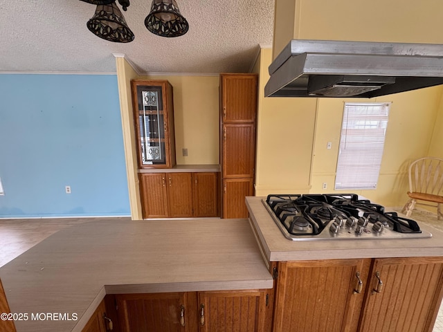 kitchen with a textured ceiling, stainless steel gas cooktop, ornamental molding, and range hood